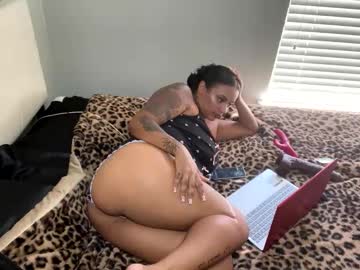 alongcamelexy