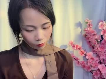 lynnalltop 165 